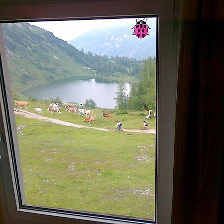 Hotel Berghof Tauplitzalm Bagian luar foto