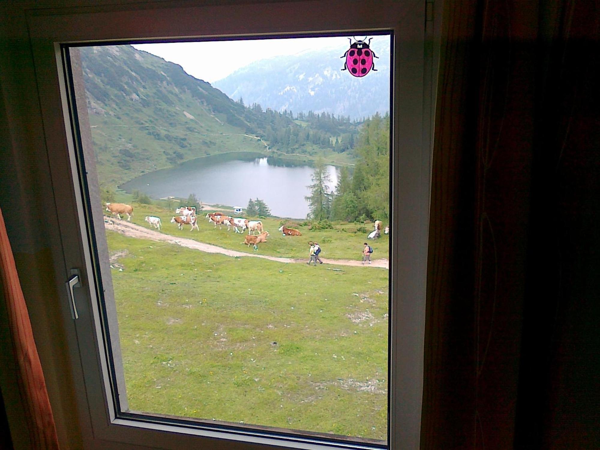 Hotel Berghof Tauplitzalm Bagian luar foto