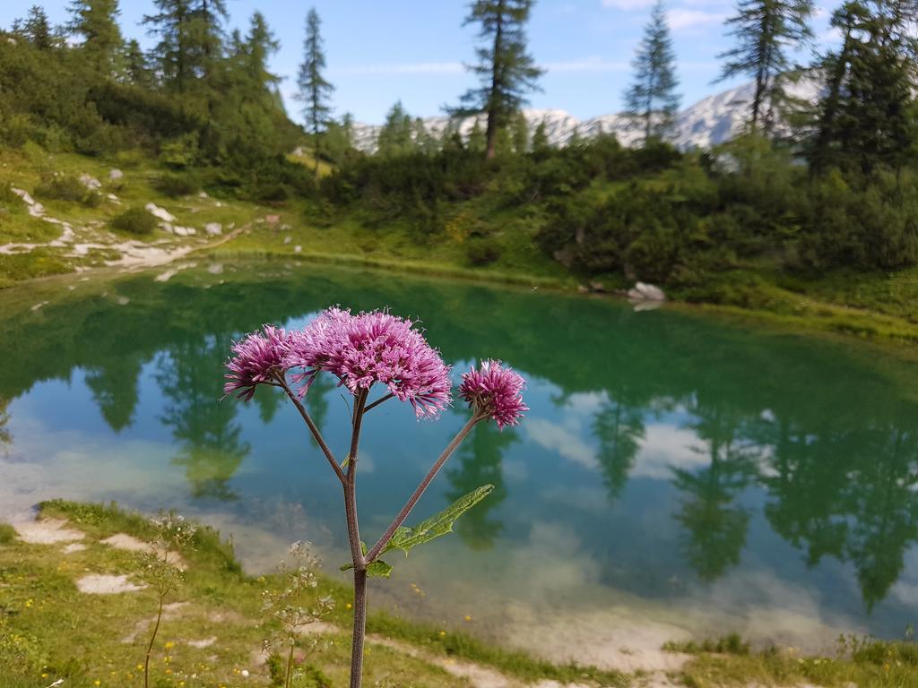 Hotel Berghof Tauplitzalm Bagian luar foto
