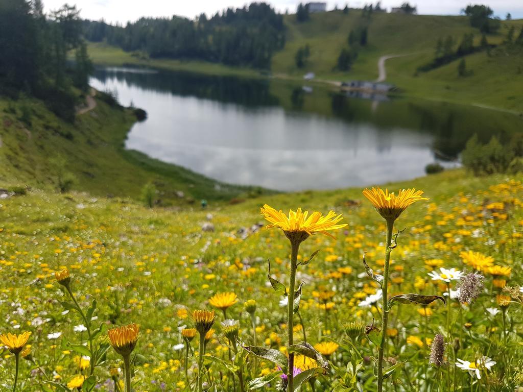 Hotel Berghof Tauplitzalm Bagian luar foto